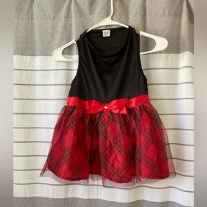 Dog Costume for Holidays